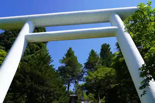 土津神社｜こどもと出世の神さまの鳥居