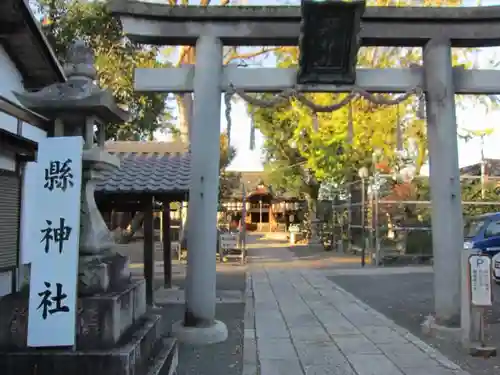 縣神社の鳥居