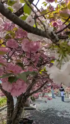 伊香具神社(滋賀県)