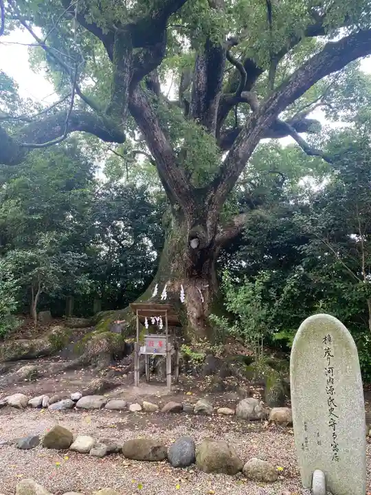 壺井八幡宮(大阪府)