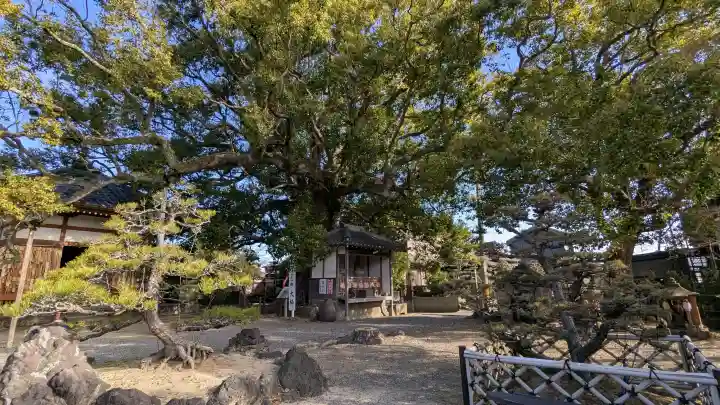 無量寺の{uncategorized: "未分類", other: "その他", undefined: "問題あり", building: "その他建物", grave: "お墓", sacred_gate: "鳥居", guardian: "狛犬", statue: "像", buddha: "仏像", history: "歴史", nature: "自然", garden: "庭園", animal: "動物", pagoda: "塔", temizu: "手水舎", mountain_gate: "山門・神門", sanctuary: "本殿・本堂", subordinate: "末社・摂社", art: "芸術", scenery: "景色", jizo: "地蔵", ema: "絵馬", goshuin: "御朱印", omikuji: "おみくじ", items: "授与品その他", amulet: "お守り", goshuincho: "御朱印帳", eats: "食事", festival: "お祭り", votive_dance: "神楽", shichigosan: "七五三参", wedding: "結婚式", experience: "体験その他", initially: "初詣", around: "周辺", anti_infection: "感染症対策"}