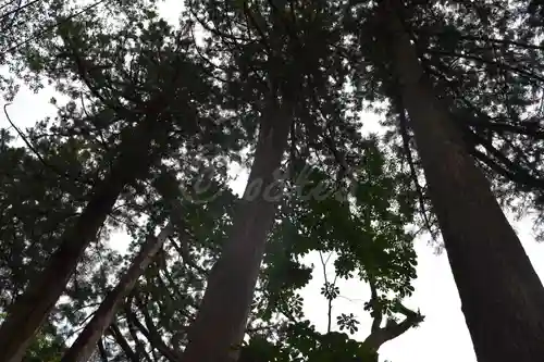 榛名神社の自然