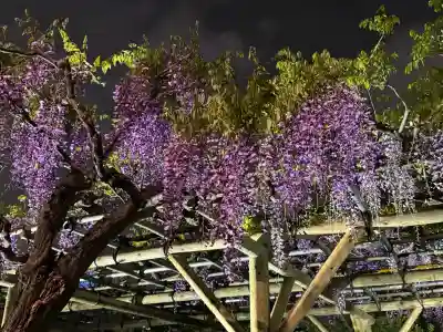 亀戸天神社の{uncategorized: "未分類", other: "その他", undefined: "問題あり", building: "その他建物", grave: "お墓", sacred_gate: "鳥居", guardian: "狛犬", statue: "像", buddha: "仏像", history: "歴史", nature: "自然", garden: "庭園", animal: "動物", pagoda: "塔", temizu: "手水舎", mountain_gate: "山門・神門", sanctuary: "本殿・本堂", subordinate: "末社・摂社", art: "芸術", scenery: "景色", jizo: "地蔵", ema: "絵馬", goshuin: "御朱印", omikuji: "おみくじ", items: "授与品その他", amulet: "お守り", goshuincho: "御朱印帳", eats: "食事", festival: "お祭り", votive_dance: "神楽", shichigosan: "七五三参", wedding: "結婚式", experience: "体験その他", initially: "初詣", around: "周辺", anti_infection: "感染症対策"}