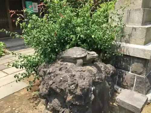 隅田川神社の狛犬