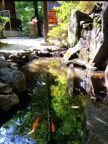 熊野神社の動物