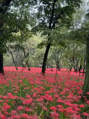 高麗神社(埼玉県)