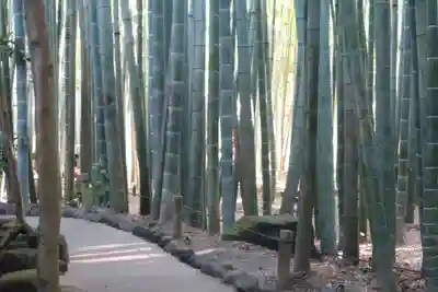 報国寺(神奈川県)