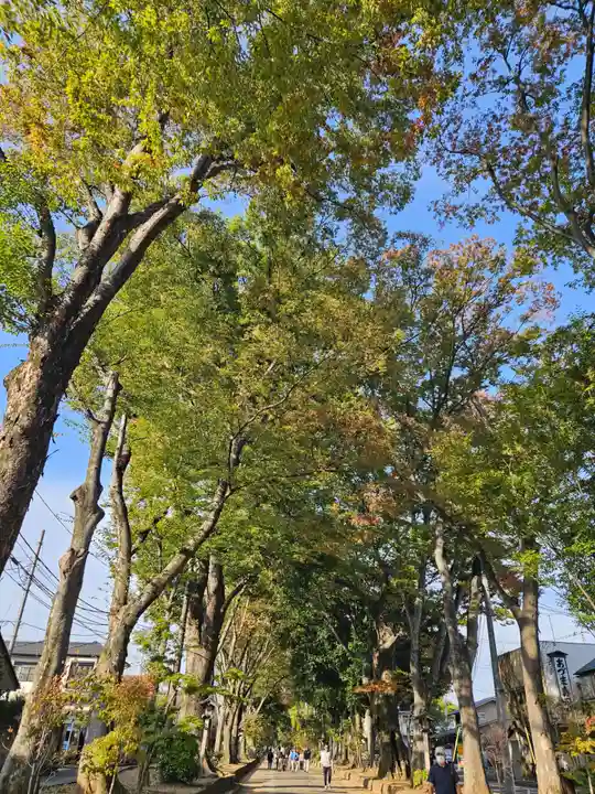 武蔵一宮氷川神社(埼玉県)