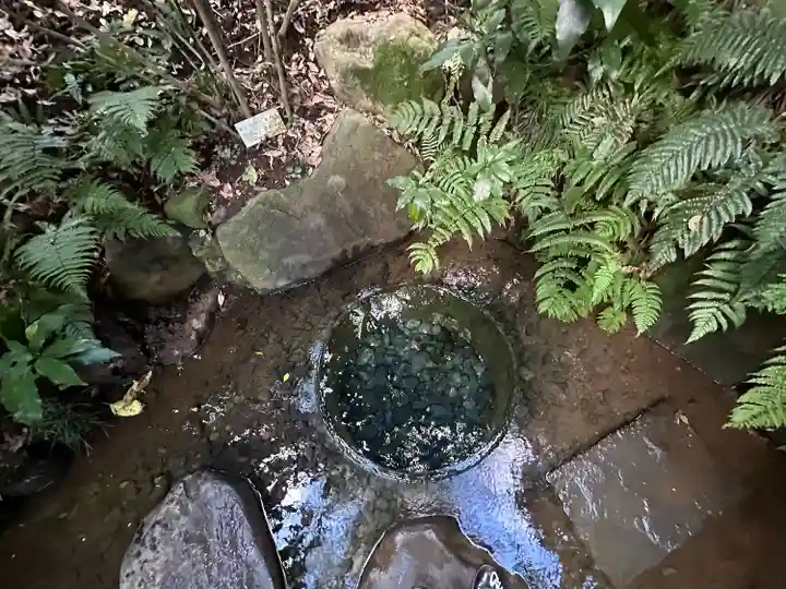 明治神宮(東京都)