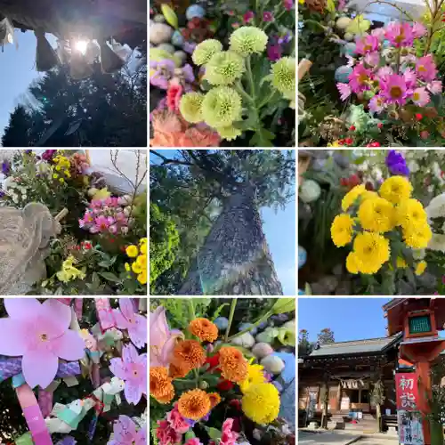 滑川神社 - 仕事と子どもの守り神の手水舎