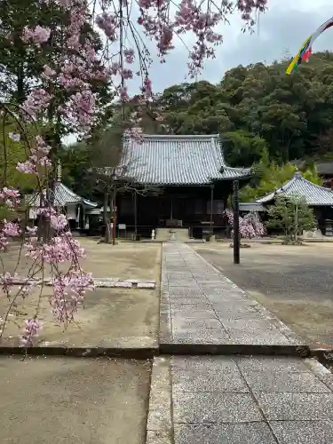 正楽寺の{uncategorized: "未分類", other: "その他", undefined: "問題あり", building: "その他建物", grave: "お墓", sacred_gate: "鳥居", guardian: "狛犬", statue: "像", buddha: "仏像", history: "歴史", nature: "自然", garden: "庭園", animal: "動物", pagoda: "塔", temizu: "手水舎", mountain_gate: "山門・神門", sanctuary: "本殿・本堂", subordinate: "末社・摂社", art: "芸術", scenery: "景色", jizo: "地蔵", ema: "絵馬", goshuin: "御朱印", omikuji: "おみくじ", items: "授与品その他", amulet: "お守り", goshuincho: "御朱印帳", eats: "食事", festival: "お祭り", votive_dance: "神楽", shichigosan: "七五三参", wedding: "結婚式", experience: "体験その他", initially: "初詣", around: "周辺", anti_infection: "感染症対策"}