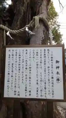 新田神社の自然
