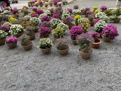 平塚八幡宮のその他建物