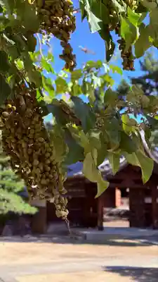 徳源寺(愛知県)