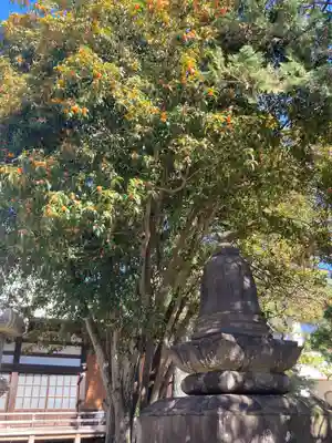 三会寺(神奈川県)