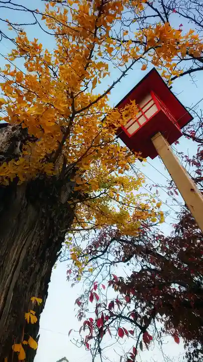 尾張大國霊神社(国府宮)の自然
