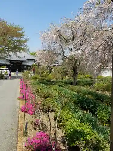 長福寺の庭園