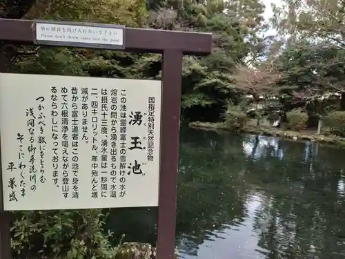 富士山本宮浅間大社(静岡県)