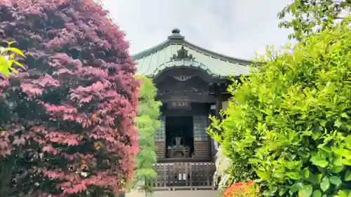 収玄寺(神奈川県)