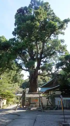 極楽寺(徳島県)