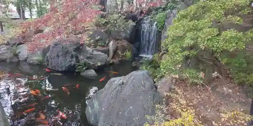 西新井大師総持寺の庭園