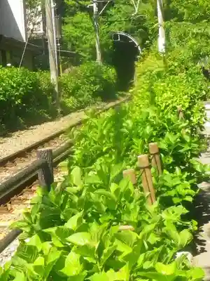 御霊神社の周辺