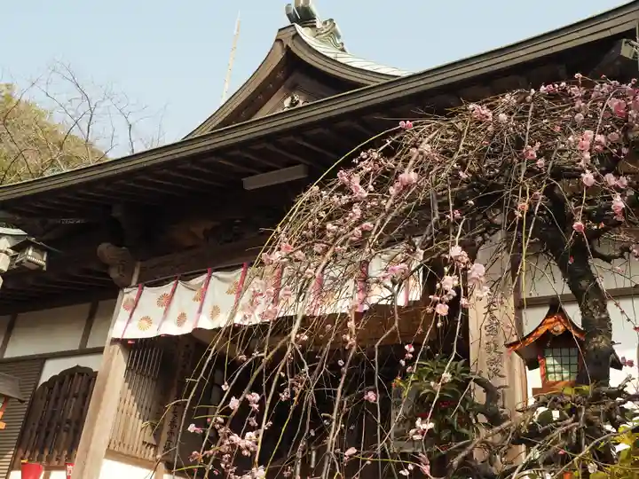 阿弥陀院の本殿・本堂