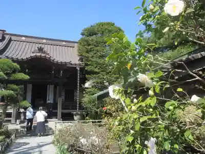 大巧寺の本殿・本堂