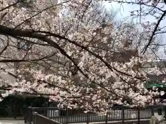 於咲稲荷神社・波除（浪除）稲荷神社の自然