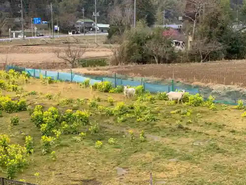 東光寺の景色