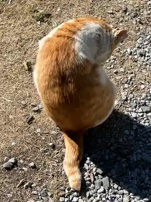 佐野赤城神社(栃木県)