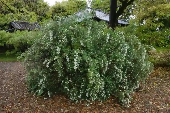 海龍王寺(奈良県)