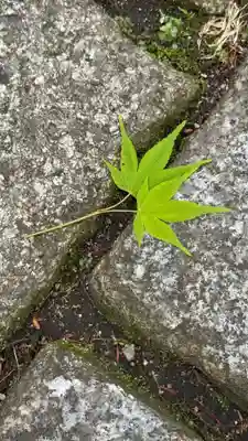 雄山神社中宮祈願殿(富山県)