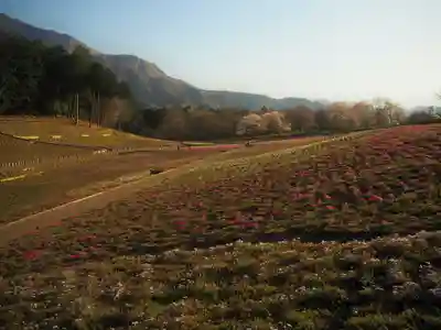 【公式】龍門院常楽寺（秩父札所十一番）(埼玉県)