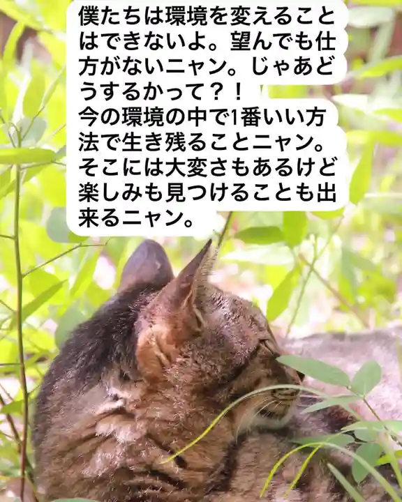 専念寺(大阪府)