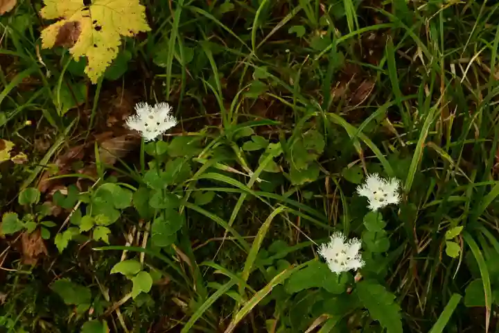 戸隠神社奥社(長野県)