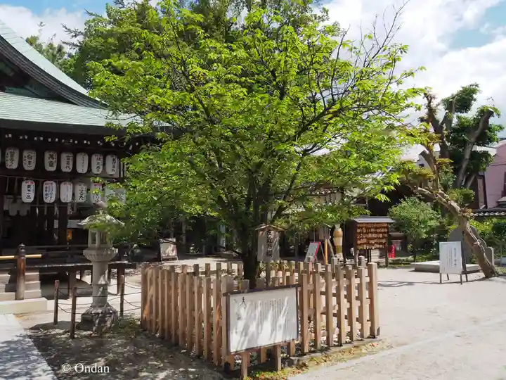 白峯神宮(京都府)