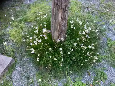山蒼稲荷神社(神奈川県)