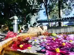 立志神社の手水