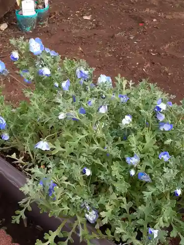 伏木香取神社の自然