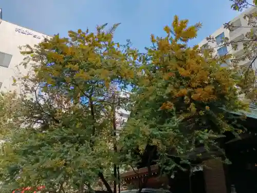 蔵前神社の{uncategorized: "未分類", other: "その他", undefined: "問題あり", building: "その他建物", grave: "お墓", sacred_gate: "鳥居", guardian: "狛犬", statue: "像", buddha: "仏像", history: "歴史", nature: "自然", garden: "庭園", animal: "動物", pagoda: "塔", temizu: "手水舎", mountain_gate: "山門・神門", sanctuary: "本殿・本堂", subordinate: "末社・摂社", art: "芸術", scenery: "景色", jizo: "地蔵", ema: "絵馬", goshuin: "御朱印", omikuji: "おみくじ", items: "授与品その他", amulet: "お守り", goshuincho: "御朱印帳", eats: "食事", festival: "お祭り", votive_dance: "神楽", shichigosan: "七五三参", wedding: "結婚式", experience: "体験その他", initially: "初詣", around: "周辺", anti_infection: "感染症対策"}