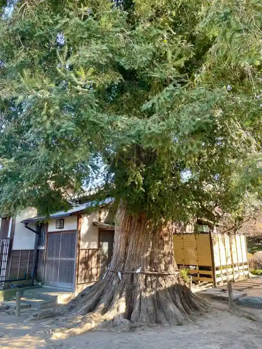 同聚院の{uncategorized: "未分類", other: "その他", undefined: "問題あり", building: "その他建物", grave: "お墓", sacred_gate: "鳥居", guardian: "狛犬", statue: "像", buddha: "仏像", history: "歴史", nature: "自然", garden: "庭園", animal: "動物", pagoda: "塔", temizu: "手水舎", mountain_gate: "山門・神門", sanctuary: "本殿・本堂", subordinate: "末社・摂社", art: "芸術", scenery: "景色", jizo: "地蔵", ema: "絵馬", goshuin: "御朱印", omikuji: "おみくじ", items: "授与品その他", amulet: "お守り", goshuincho: "御朱印帳", eats: "食事", festival: "お祭り", votive_dance: "神楽", shichigosan: "七五三参", wedding: "結婚式", experience: "体験その他", initially: "初詣", around: "周辺", anti_infection: "感染症対策"}