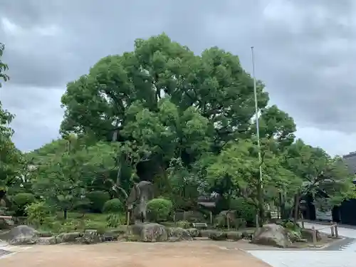 太宰府天満宮の景色