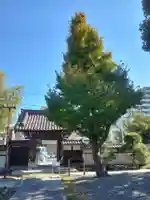 寳幢院の山門・神門