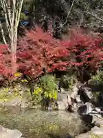 霧島神宮(鹿児島県)