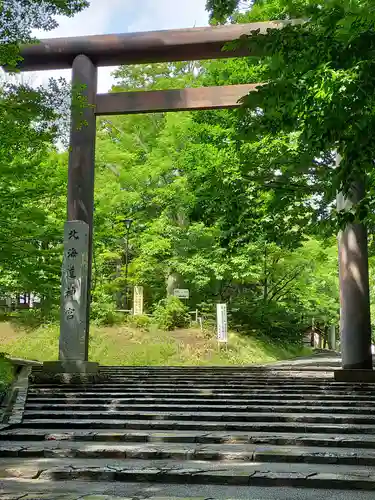 北海道神宮の鳥居