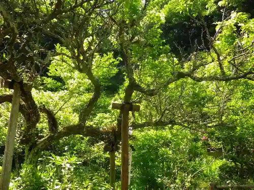 黄梅院（円覚寺塔頭）の庭園