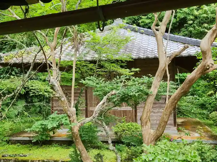 慧日寺の建物その他