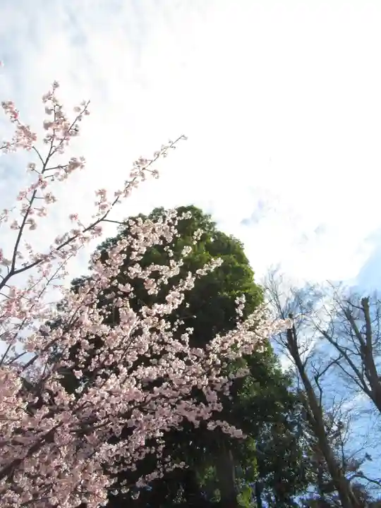 香取神社(千葉県)
