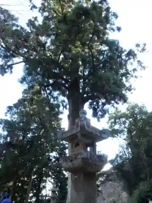 普門寺(切り絵御朱印発祥の寺)のその他建物